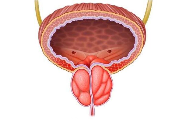 trattamento della prostatite negli uomini